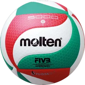 Molten V5M5000