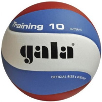 training_bv5561s.jpg